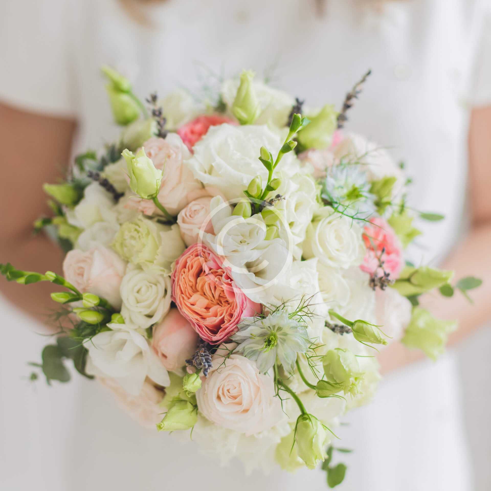 Hydrangea - Image 3
